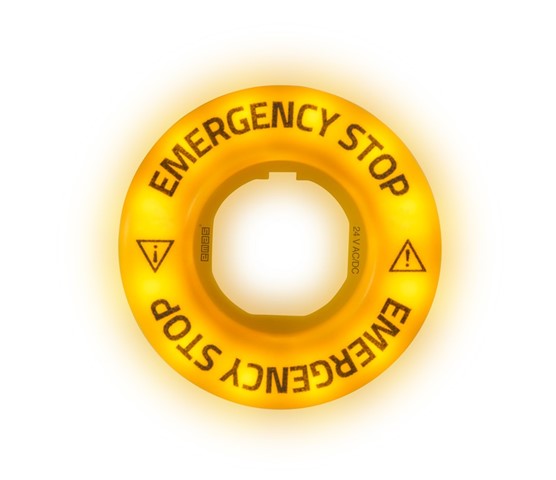 Accessory 24V AC/DC Flash Blinking (EMERGENCY-EMERGENCY) Marked Legend Plate with LED